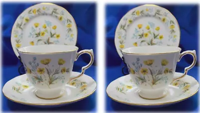 Vintage Colclough PAIR Of China Cup Saucer Plate Trios Pattern Angela FREE Post • £17.50