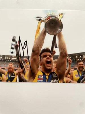 $29.95 • Buy Trent Cotchin Authentic Signed Original 2017 Premiership Photo -richmond Tigers