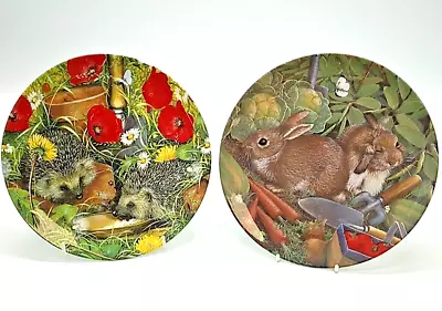 Coalport Garden Guests Hedgehogs & Rabbits Collectable Plates Barbara Mitchell • £12