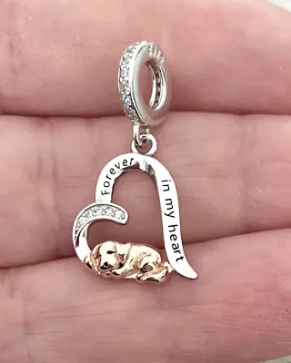 Dog Charm Forever In My Heart 925 Sterling Silver Dog Pet Loss Memorial Charm • £18.98