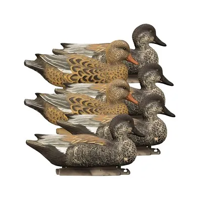 Higdon Gadwall Standard Foam Filled 6pk • $50