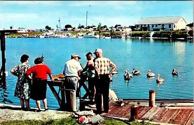 Goodland Marco Island FL Florida  PEOPLE~DOCK~FISH DINNER 1963 Fishing Postcard • $7.94