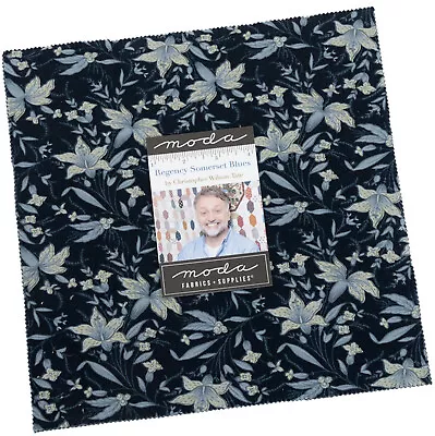 Regency Somerset Blues Moda Layer Cake 42 100% Cotton 10  Precut Quilt Squares • $45.99