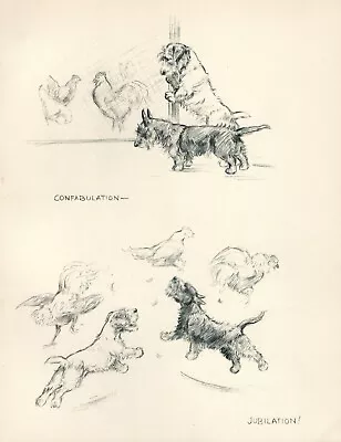 SCOTTISH TERRIER JACK RUSSELL HENS VINTAGE 1933 DOG SKETCH PRINT  By K F BARKER • £7.99