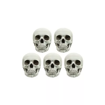 Human Skull Replica 1:12 Scale Closed Jaw Bone (hand Painted) Miniature • $22