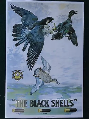 U.S. Ammunition Advertising Poster The Black Shells Shotgun Shells Lowell Mass. • $7.50