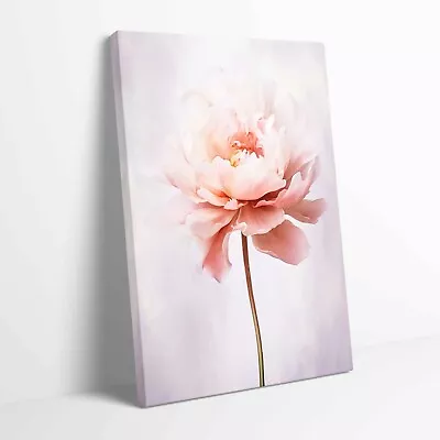 Stunning Peony Flower Stretched Canvas Or Unframed Poster More Sizes • £12.99