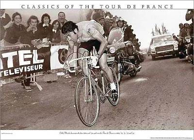 Vintage Tour De France EDDY MERCKX DOMINATES C.1971 Cycling 22x30 POSTER Print • $26.99