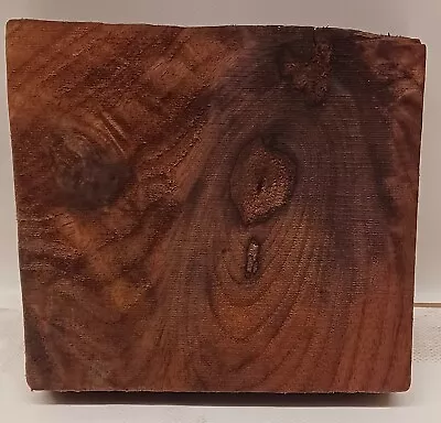 Natural Ohio Black Walnut Slab Dimensional Unfinished Wood Woodworking W135 • $14.99