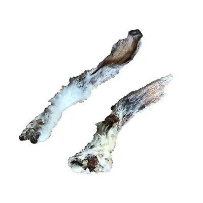 Dried Furry Rabbit Ears - Treats Dog Chews Hypoallergenic 100% NATURAL Air Dried • £11.99