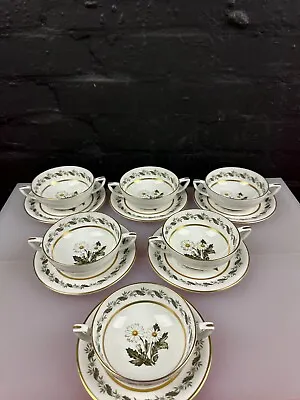 6 X Royal Worcester Bernina Soup Bowls Coupes And Stands / Saucer Set • £31.99