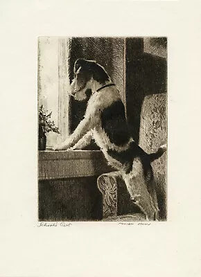 Museum Quality Reproduction Of A Morgan Dennis Etching Of A Wire Haired Terrier  • $19