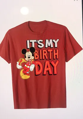 Mickey Mouse Disney It's My Birthday T Shirt Minnie Gift Mens 2xl Free Shipping • $19.99