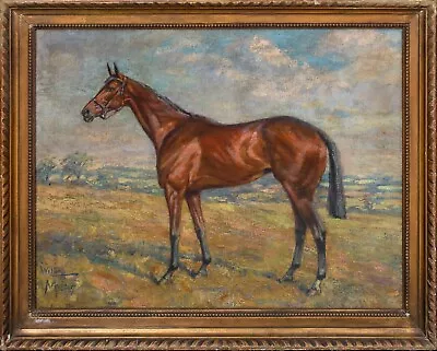 Large 1919 English Race Horse Portrait  Wilton  Margaret H. COLLYER (1872-1945) • £1425