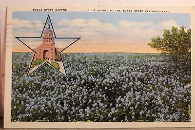 Texas TX State Flower Blue Bonnets Capitol Austin Postcard Old Vintage Card View • $0.50