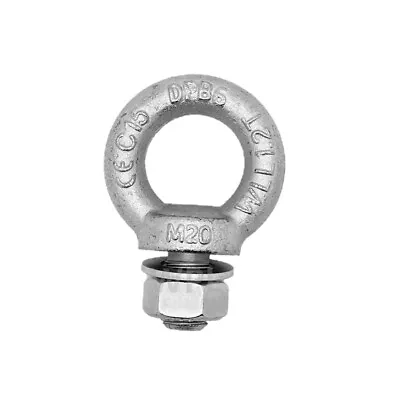 M6 M8 M10 M12 M16 M20 M24 Lifting Eye Bolts Bolt Galvanised Zinc Male Metric • £79.95