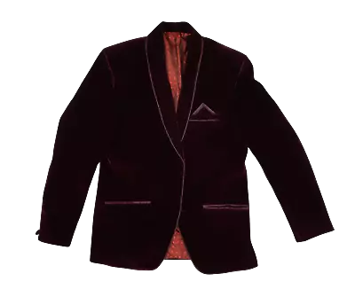 Wine Velvet Single Breasted Blazer Size 38 • $25.56