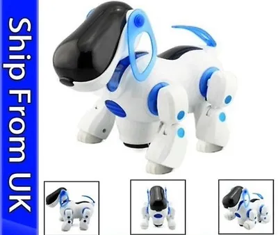 I ROBOT DOG Walking Nodding Childrens Kids Toys Blue/pink Puppy Electronic Dog • £19.89