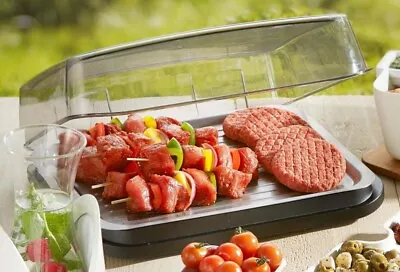 Vacu Vin BBQ Cooler & Cooling Plate. Keeps Food Fresh For Longer-Indoor/Outdoor • $139.99