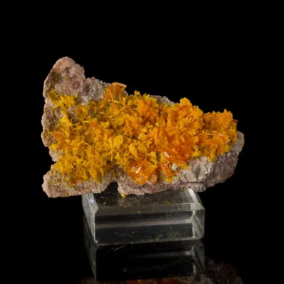1.9  Tabular Orange WULFENITE Crystals +Light Orange MIMETITE Rowley AZ For Sale • $198