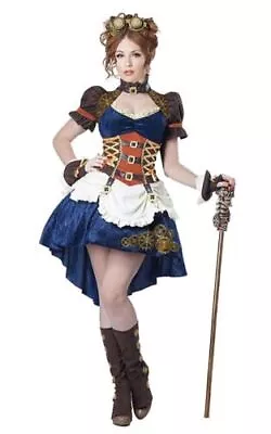 Woman's 'Steampunk Fantasy' Costume - Cosplay - Renaissance Fair - Halloween • $39.95