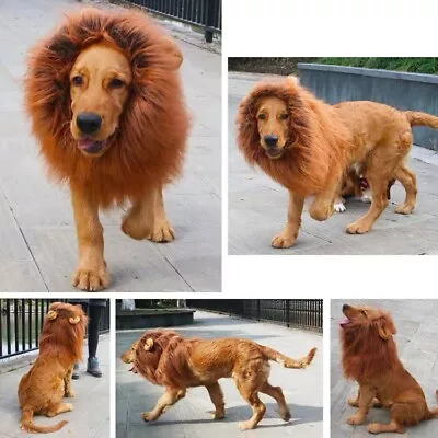 $10.99 • Buy Pet Costume Lion Mane Wig W/ Ears For Large Dog Halloween Cloth Funny Dress Up