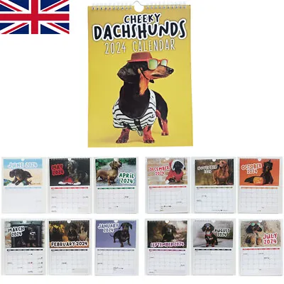 2024 Cheeky Dachshunds Calendar Funny Werid Animal Dogs Wall Calendar Home Decor • £7.21