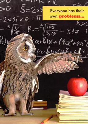 Owl Solving Math Equation On Chalkboard Funny / Humorous Birthday Card • $3.49