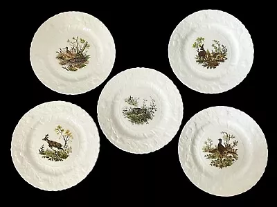 Queens Rosina China Co Fine Bone China England Wildlife Salad Plates Set Of 5 • £82.71