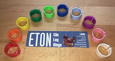 £3.80 • Buy 10 X Clip On Coloured Chicken Leg Rings For Poultry / Hens / Ducks 16mm Large