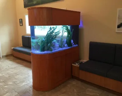 Warranty Included 120 GALLON GLASS Room Divider Peninsula Aquarium Fish Tank Set • $3800