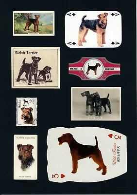 Welsh Terrier Ready Mounted Set Vintage Dog Collectable Cards Bands Stamps • $12.62