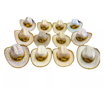 Set Of 12 Mexican Mini Palm Hats  Car  Decor Suction Cup  Sombrero  Animals • $42