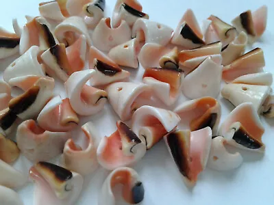 24 Abalone Spiral Shell Beads Pink/Natural 11mm. Jewellery/Crafts/Sew/Charms • £12.75