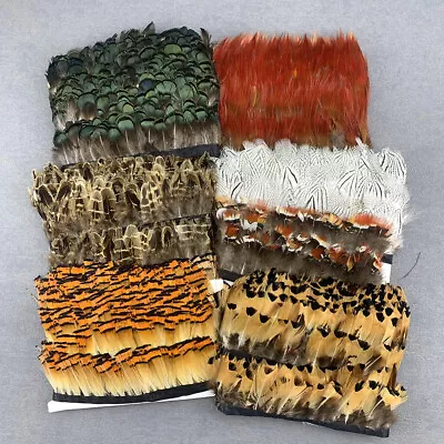 20 Shape 10 Meter Pheasant Feathers Trims Peacock Goose Plume 5-10CM/2-4inch  • $200