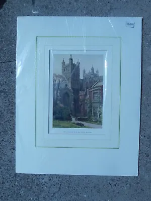 £11.50 • Buy Original Vintage Matted Print E Haslehust C1914 Cathedral Palace Grounds Exeter