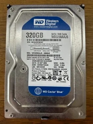 Western Digital WD 3.5  320GB Internal Desktop SATA Hard Disk HDD WD3200AAJS • £6.99