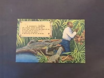 Vintage Postcard Florida  Historical Racial Comic Postcard   1945 Postmarked • $15.99