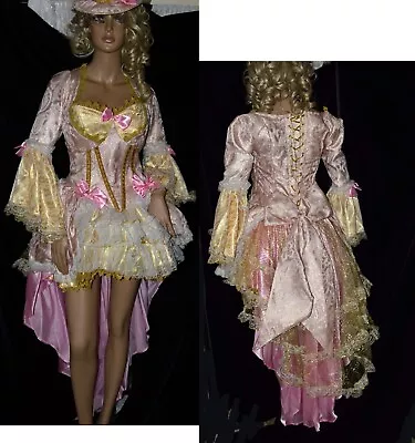 Mary Antoinette Costume Dress Gown Large • $350