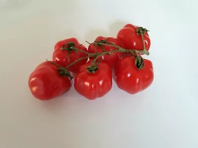 Ruby Jewel Cherry Plum Tomatoes Very Sweet High Crop 50 Seeds Fast Dispatch  • £2.99