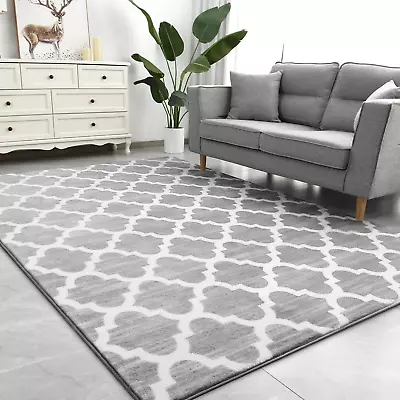 Large 5X8 Geometric Shag Modern Area Rug For Living Room Bedroom Distressed Mor • $41.02