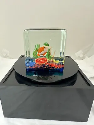 Murano Glass Fish Aquarium 3  Cube • $199.20