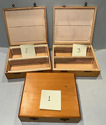 Vintage Wooden Microscope Slides Storage Box For 100 Slides Made In NY USA • $24.26
