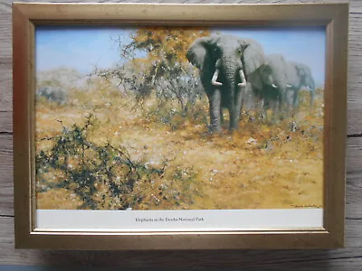 David Shepherd Print 'Elephants In Etosha National Park'  FRAMED • £23