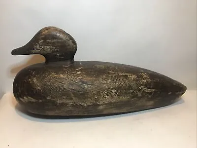 Eider Hen Duck Decoy Oversized Coastal Maine Inlet Head Antique  • $259