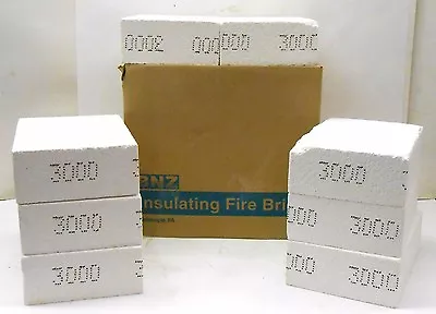 Bnz 3000 Insulating Fire Bricks 9  X 6.75  X 3  Z1346b Box Of 8 • $80