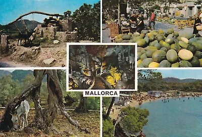 Mallorca Multiview Spain Postcard Unused VGC • £1.30