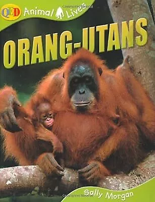 Animal Lives: Orang-utans (QED Animal Lives S.) Sally Morgan Used; Good Book • £3.14