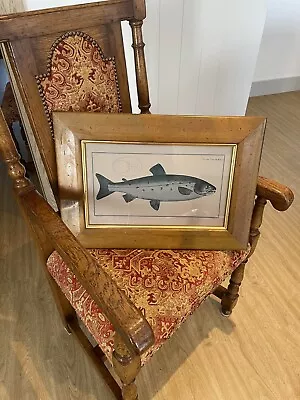 Attractive ‘Old Salmon’ Picture In Original Thick  Wooden Frame From Old Cottage • £40