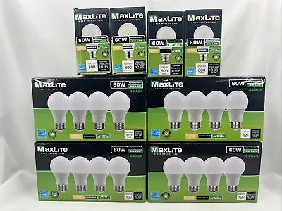 Lot Of 5 - Maxlite LED Light Bulb (4 Pack) 8 Watt - 120 Volt - A19 E26 Dimmable • $49.99